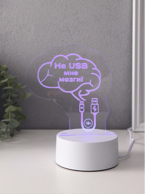 Светильник 3D RISALUX «Не USB мне мозги!», LED-ночник, RGB, от сети, 9.5×12×14.9 см