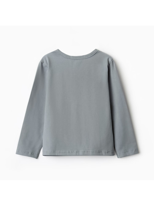 Лонгслив для мальчика KAFTAN, серый, размер 32 (110-116 см)