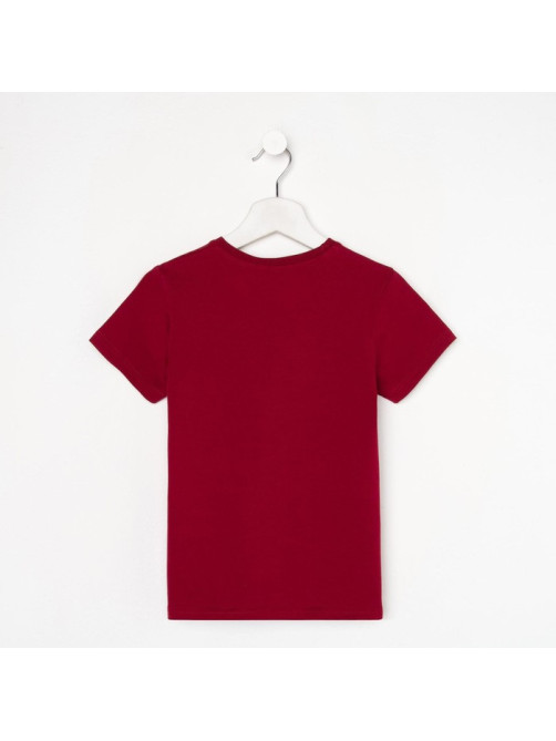 Футболка для мальчика KAFTAN: Basic line, бордо, размер 32 (110-116 см)