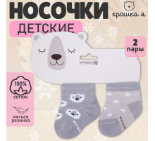 Носки детские Крошка Я «Мишка», 2 пары, 12-14 см