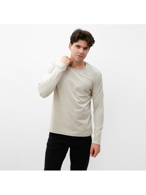 Лонгслив мужской MIST Men's casual размер 54, серо-бежевый
