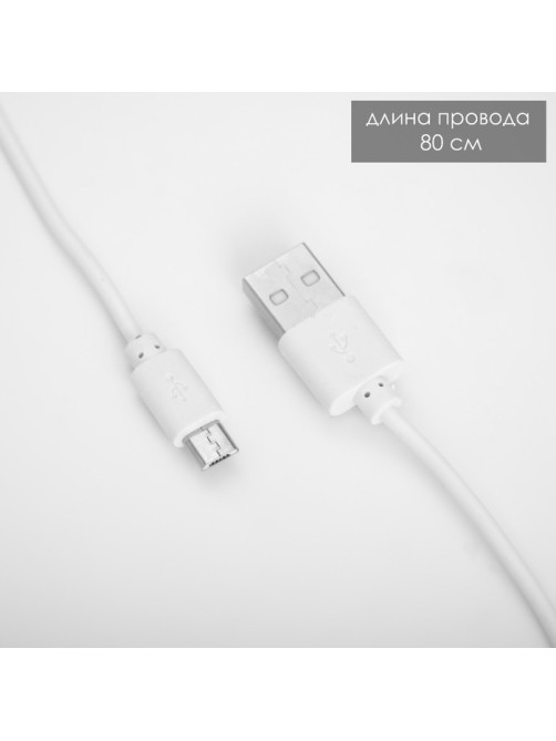 Настольная лампа «Лансер» LED 3.5 Вт USB АКБ красно-розовый 11×15×45 см RISALUX