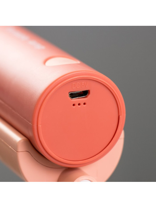 Настольная лампа «Лансер» LED 3.5 Вт USB АКБ красно-розовый 11×15×45 см RISALUX
