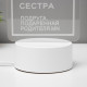 Светильник «Сестра» LED RGB от сети RISALUX