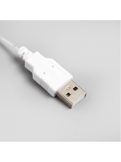 Гирлянда «Конский хвост» 8 нитей по 2 м, IP20, серебристая нить, 160 LED, свечение тёплое белое, USB