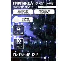 Гирлянда «Конский хвост» 10 нитей по 1 м, IP20, серебристая нить, 100 LED, свечение белое, 12 В