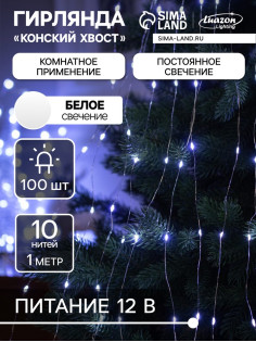 Гирлянда «Конский хвост» 10 нитей по 1 м, IP20, серебристая нить, 100 LED, свечение белое, 12 В