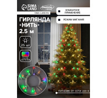 Гирлянда «Нить» 2.5 м, IP20, прозрачная нить, 25 LED, свечение RG/RB, мигание, 220 В