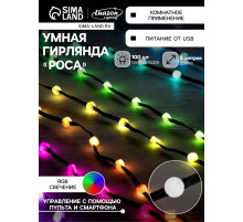 Умная гирлянда «Нить» 5 м, роса с насадками «Шарики», IP20, черный провод, 100 LED, пульт ДУ, приложение, свечение RGB, USB