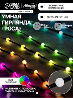 Умная гирлянда «Нить» 5 м, роса с насадками «Шарики», IP20, черный провод, 100 LED, пульт ДУ, приложение, свечение RGB, USB
