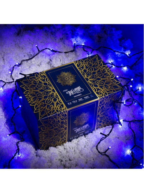 Гирлянда «Занавес» 2×1.5 м, IP44, УМС, тёмная нить, 360 LED, свечение синее, 220 В