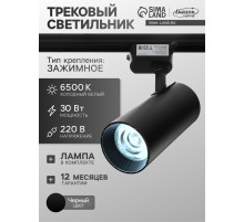 Трековый светильник Luazon lighting, LTL-013, 30 Вт, 2100 Лм, 6500 K, чёрный, свечение холодное белое
