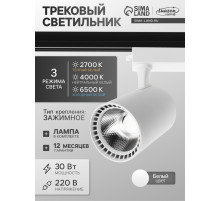 Трековый светильник Luazon Lighting TSL-016, 30 Вт, 2400 Лм, 2700-6500К, управление с пульта, белый, 3 режима свечения