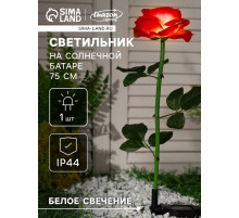 Садовый светильник «Роза красная», уличный, на солнечной батарее, 75 см, 1 LED, свечение белое