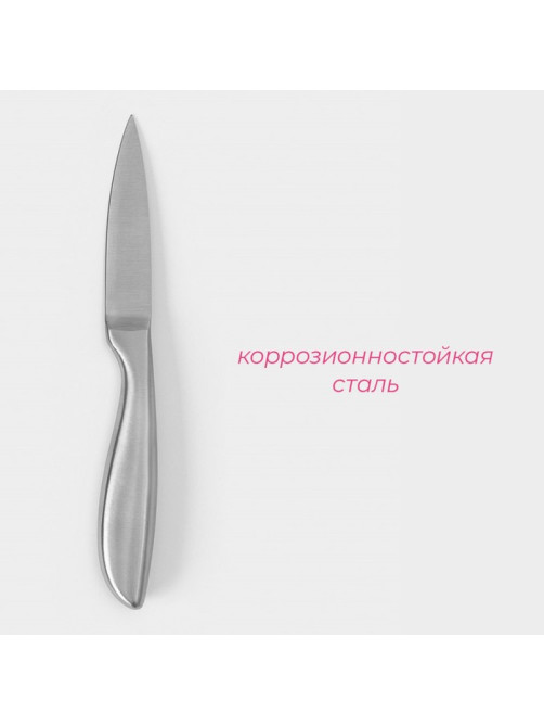 Нож для овощей кухонный Доляна Salomon, длина лезвия 9.5 см, серебристый
