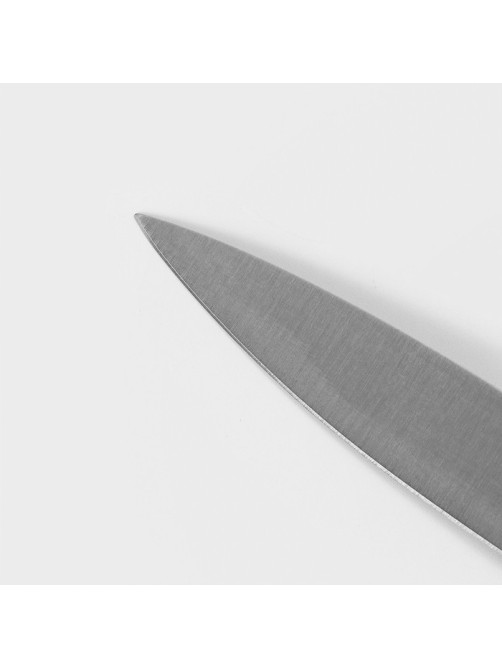 Нож для овощей кухонный Доляна Salomon, длина лезвия 9.5 см, серебристый