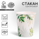 Стакан одноразовый бумажный «Природа», 250 мл