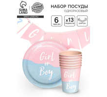 Посуда бумажная одноразовая на гендер-пати «Мальчик /Девочка»
