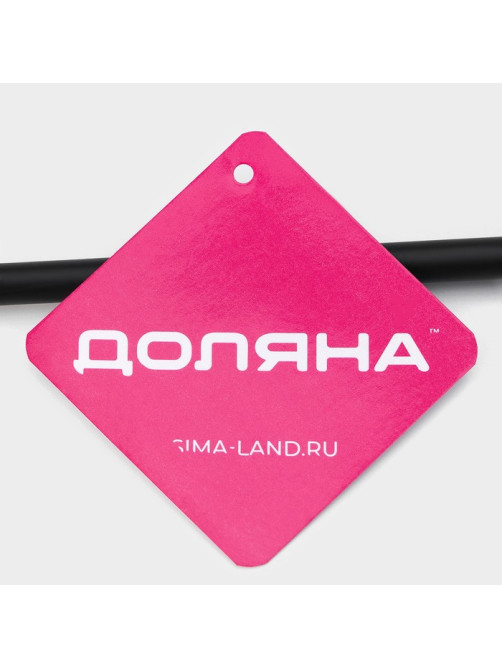 Держатель для полотенец Доляна, на дверцу, чёрный