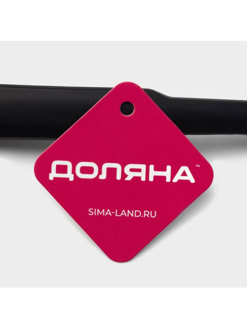 Ложка гарнирная Доляна «Орихалк», 30 см, чёрная
