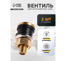 Вентиль TORSO, TR-575, грузовой, набор 2 шт.