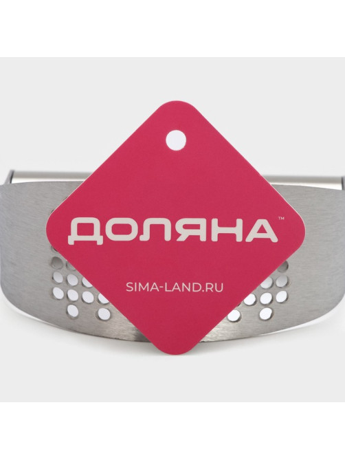 Пресс для чеснока Доляна Steel, 10×5 см, цвет серебряный