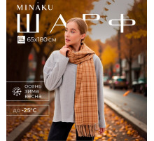 Шарф зимний с кистями MINAKU, размер 65×180 + 8 см, бежевый