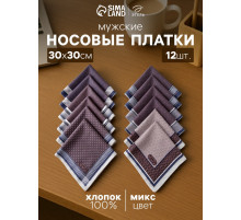 Платки носовые мужские «Этель. Серджио», 30×30 см, 12 шт., рисунок МИКС, фиолетовые