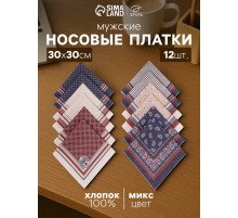 Платки носовые мужские «Этель», размер 30×30 см, набор 12 шт., принт МИКС, 100% хлопок