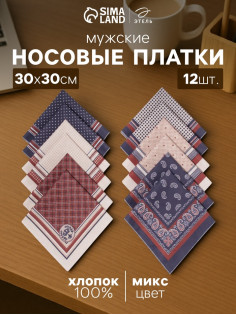 Платки носовые мужские «Этель», размер 30×30 см, набор 12 шт., принт МИКС, 100% хлопок