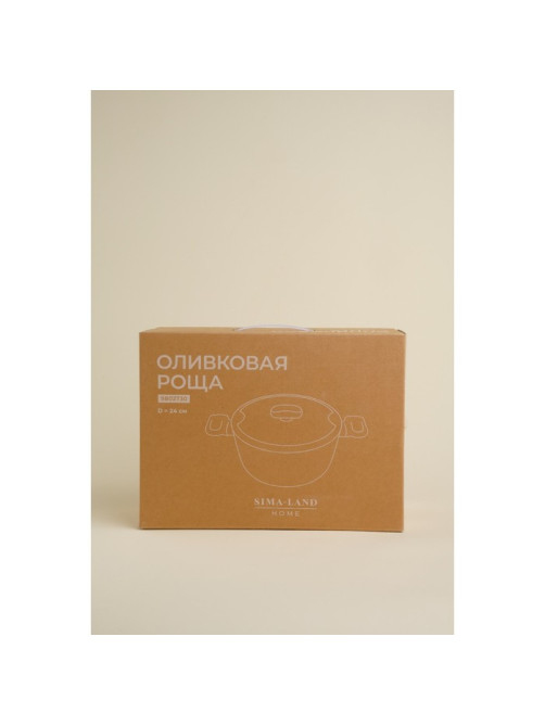 Кастрюля SL Home, 4 л, d=24 см, h=10.5 см, с крышкой, антипригарное покрытие, индукция, алюминий, чёрная