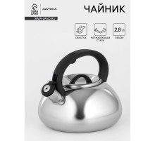 Чайник Доляна «Квант», 2.8 л, со свистком, фиксированная ручка, нержавеющая сталь, хромированный