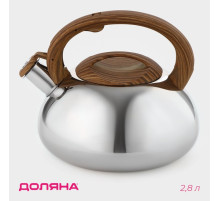 Чайник Доляна «Квант», 2.8 л, со свистком, фиксированная ручка софт тач, нержавеющая сталь, хромированный