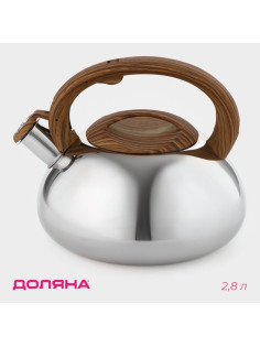 Чайник Доляна «Квант», 2.8 л, со свистком, фиксированная ручка софт тач, нержавеющая сталь, хромированный
