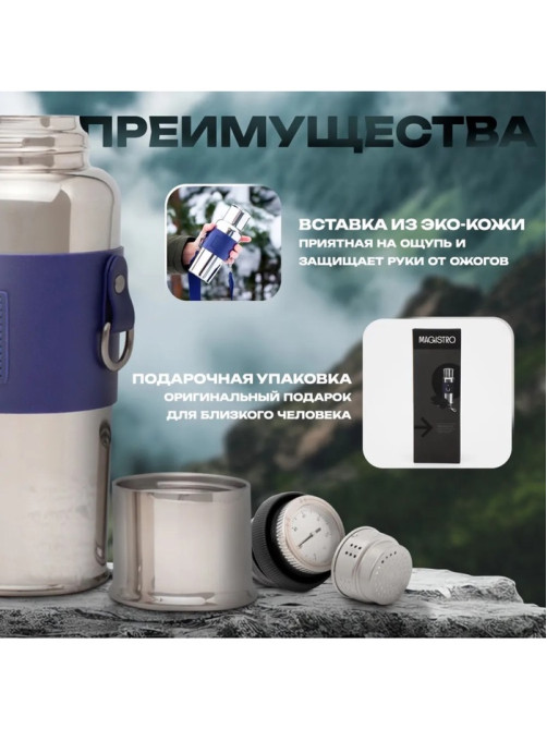 Термос Magistro, 600 мл, h=22.6 см, с ситом и термометром, нержавеющая сталь