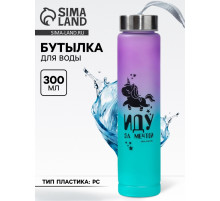 Бутылка для воды «Иду за мечтой», 300 мл