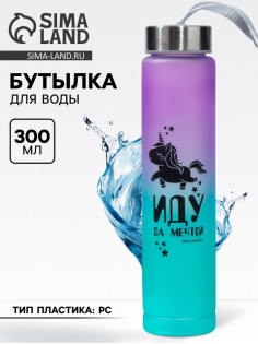 Бутылка для воды «Иду за мечтой», 300 мл