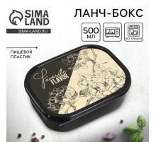 Ланч - бокс прямоугольный Favorite flavor, 500 мл