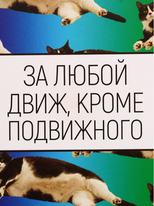 Ланч - бокс прямоугольный «За любой движ, кроме подвижного», 1200 мл