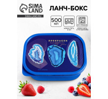 Ланч - бокс прямоугольный «Прекрасен», 500 мл