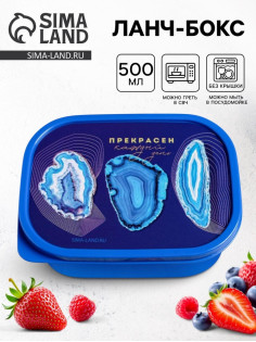 Ланч - бокс прямоугольный «Прекрасен», 500 мл