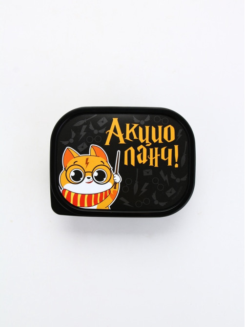 Ланч - бокс прямоугольный «Акцио ланч», 500 мл