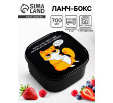 Ланч - бокс квадратный «Кот», 700 мл