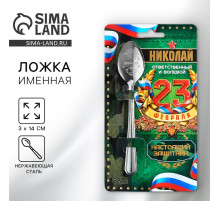 Ложка чайная именная «Николай», 14×3 см
