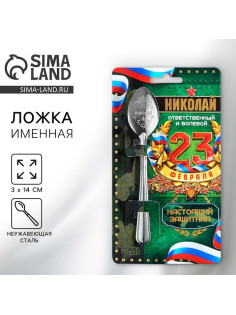 Ложка чайная именная «Николай», 14×3 см