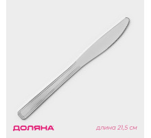 Нож столовый Доляна, длина 21.5 см, толщина 2 мм, нержавеющая сталь, серебристый