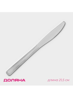Нож столовый Доляна, длина 21.5 см, толщина 2 мм, нержавеющая сталь, серебристый