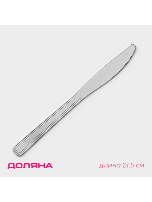 Нож столовый Доляна, длина 21.5 см, толщина 2 мм, нержавеющая сталь, серебристый