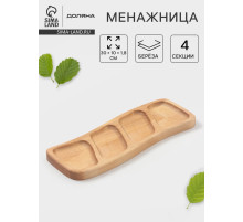 Менажница прямоугольная Доляна, 30×10×1.8 см, 4 секции, дерево берёза