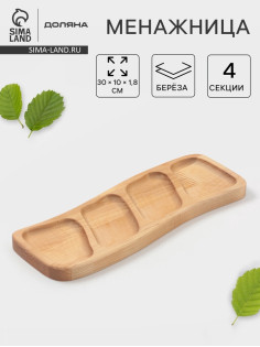 Менажница прямоугольная Доляна, 30×10×1.8 см, 4 секции, дерево берёза